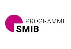 Strategy and Management of International Business (SMIB)