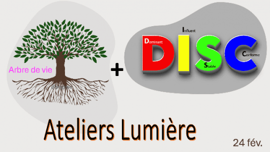 L'Arbre de vie & le DISC à votre service ! Atelier Lumière